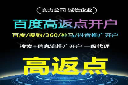 如何在sem竞价托管中取得卓越效果——案例解读